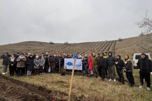 photo_2025-12-07_10-22-51